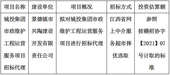 城投集團市政維護工程運營服務項目招标代理計劃公告