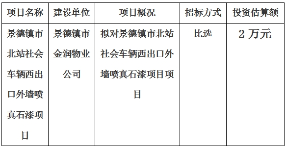 景德鎮市北站社會車輛西出口外牆噴真石漆項目計劃公告