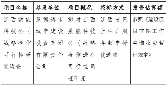 江西數能(néng)科技公司戰略合作可行性研究調查計劃公告