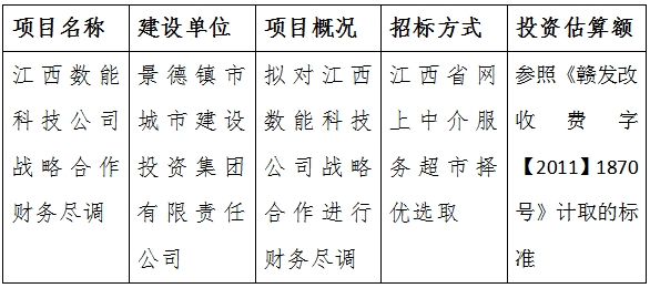 江西數能(néng)科技公司戰略合作财務盡調計劃公告