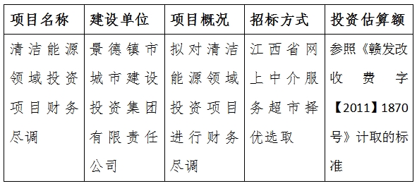 清潔能(néng)源領域投資項目财務盡調計劃公告