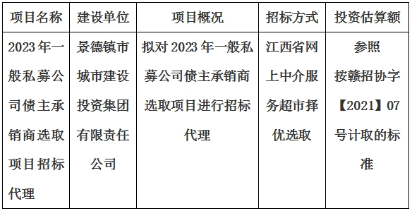 2023年一般私募公司債主承銷商選取項目招标代理計劃公告