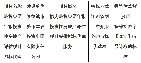 城投集團年報投資性房地産評估項目招标代理計劃公告