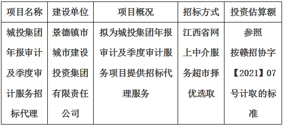 城投集團年報審計及季度審計服務招标代理計劃公告