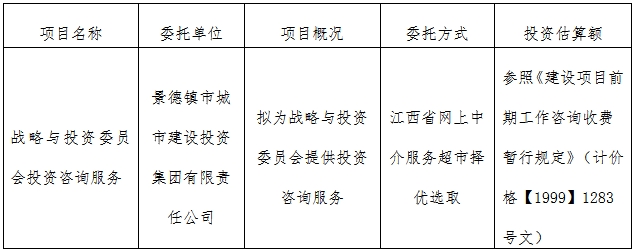 戰略與投資委員會投資咨詢服務計劃公告