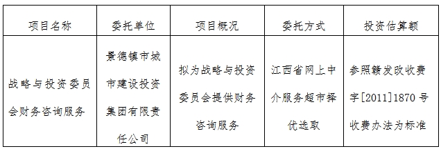 戰略與投資委員會财務咨詢服務計劃公告