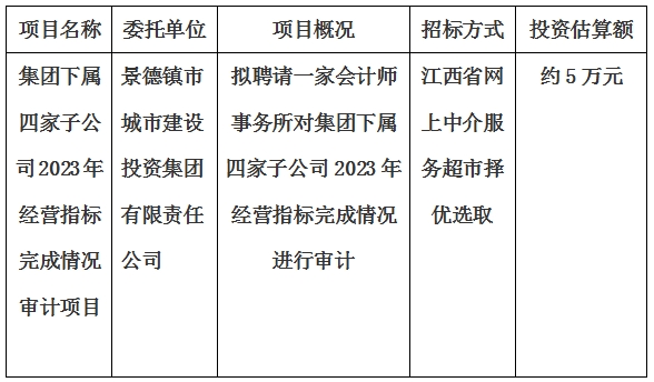 集團下屬四家子公司2023年經(jīng)營指标完成(chéng)情況審計項目計劃公告