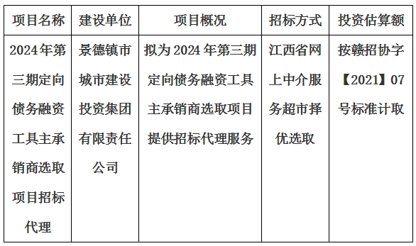 2024年第三期定向(xiàng)債務融資工具主承銷商選取項目招标代理計劃公告