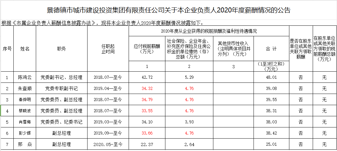 景德鎮由裏軟件開發有限責任公司關于本企業負責人2020年度薪酬情況的公告